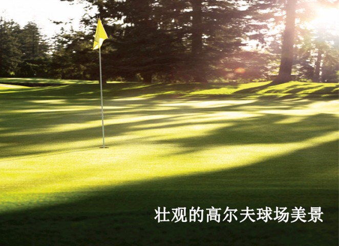 images/1/2019/11/U34Ddz9K4dBp77f84H7wud4BQ7dHbh.jpg