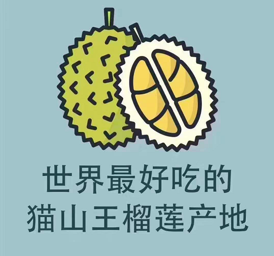 images/1/2020/03/Yi0bbiV6Bx462sPJfv828V20S6g2SB.png