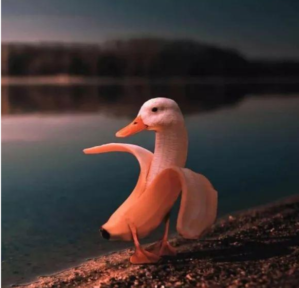 images/1/2020/03/hRVNIkq6KLLXNIK6GJQKWzZrRqZYxQ.png
