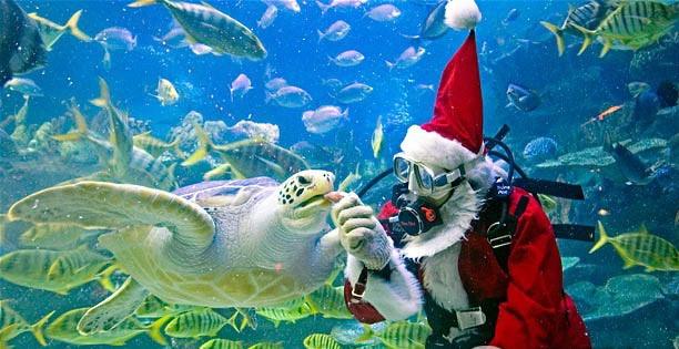 images/1/2019/12/O7rv70rvB77hVbh2i79b297b7h8b00.jpg